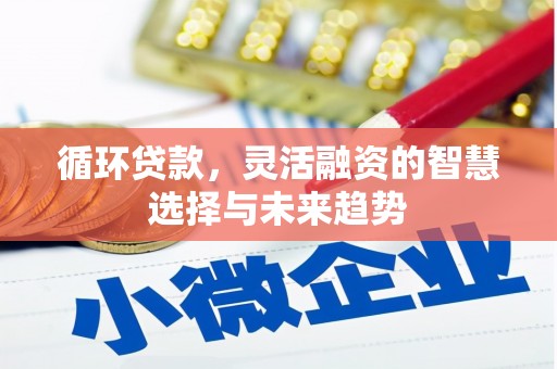 邗江循环贷款，灵活融资的智慧选择与未来趋势