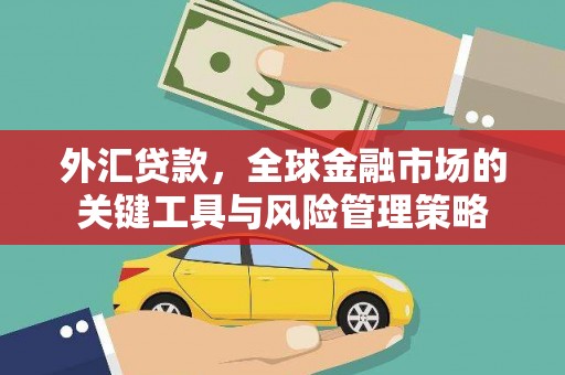 邗江外汇贷款，全球金融市场的关键工具与风险管理策略