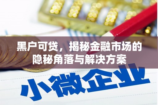 邗江黑户可贷，揭秘金融市场的隐秘角落与解决方案