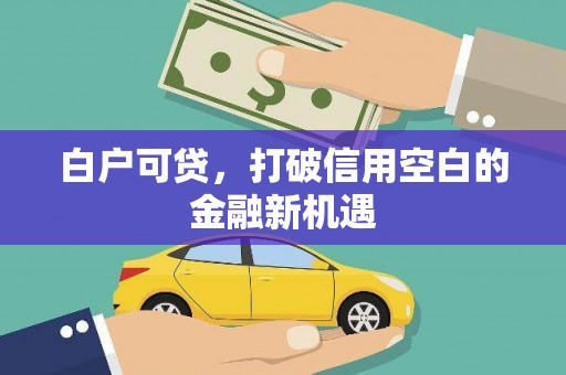 邗江白户可贷，打破信用空白的金融新机遇