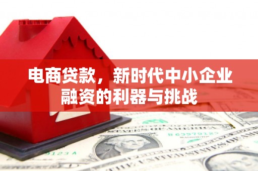 邗江电商贷款，新时代中小企业融资的利器与挑战