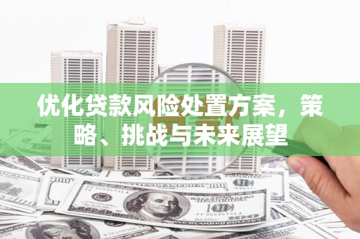 邗江优化贷款风险处置方案，策略、挑战与未来展望