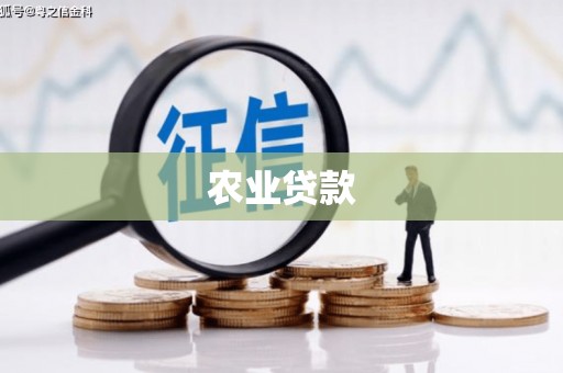 邗江农业贷款