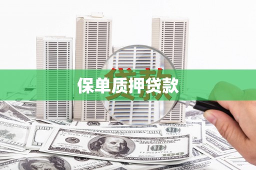 邗江保单质押贷款