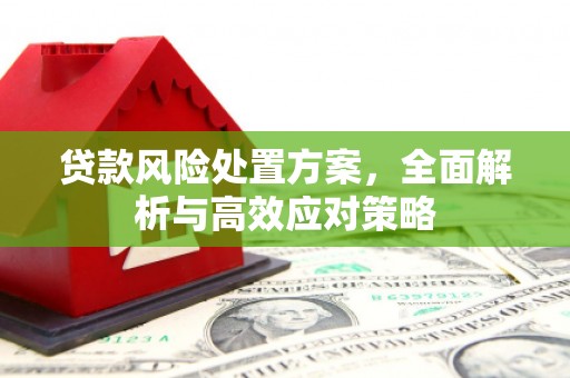 邗江贷款风险处置方案，全面解析与高效应对策略
