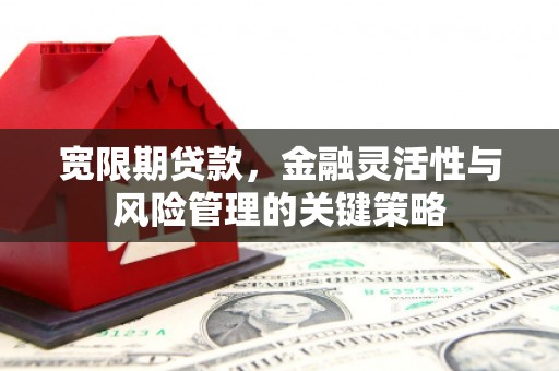 邗江宽限期贷款，金融灵活性与风险管理的关键策略