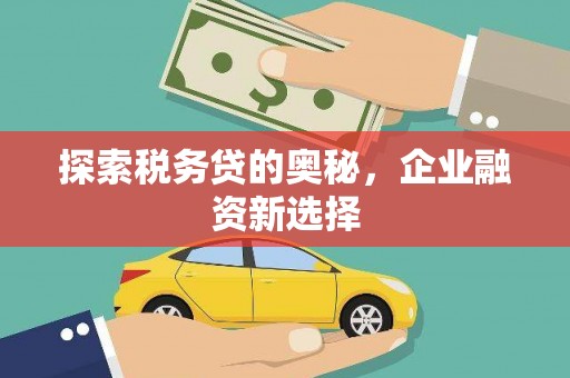 邗江探索税务贷的奥秘，企业融资新选择