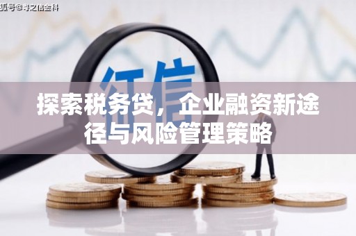 邗江探索税务贷，企业融资新途径与风险管理策略