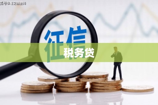 邗江税务贷