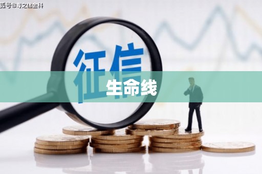 邗江生命线