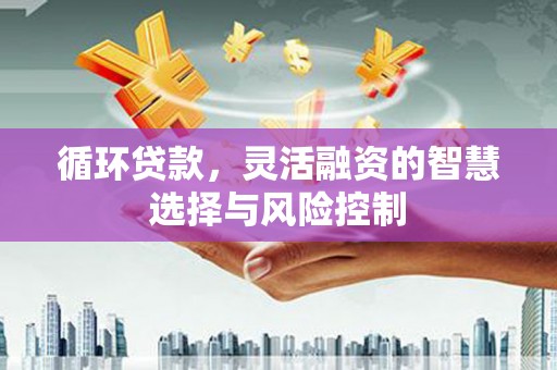 邗江循环贷款，灵活融资的智慧选择与风险控制