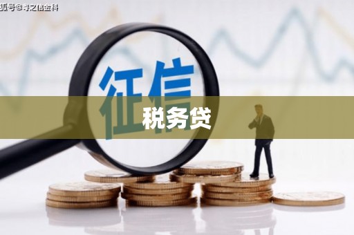 邗江税务贷