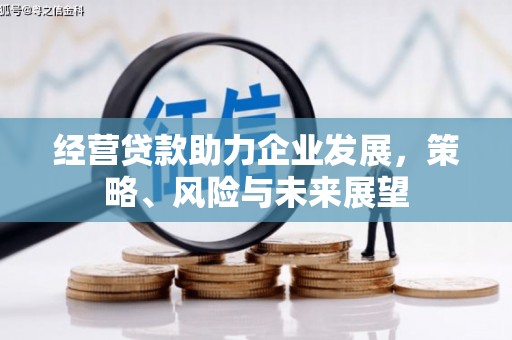 邗江经营贷款助力企业发展，策略、风险与未来展望