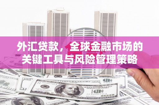 邗江外汇贷款，全球金融市场的关键工具与风险管理策略
