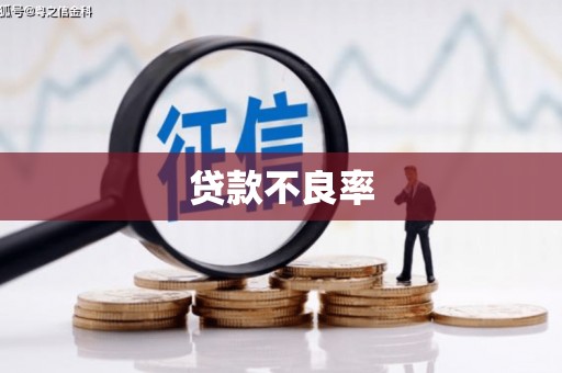邗江贷款不良率