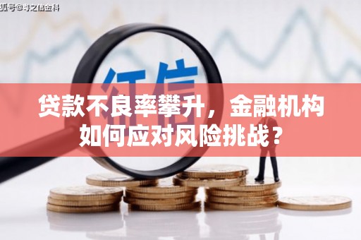邗江贷款不良率攀升，金融机构如何应对风险挑战？