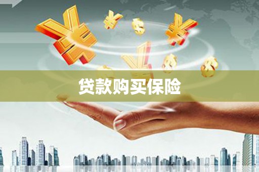 邗江贷款购买保险