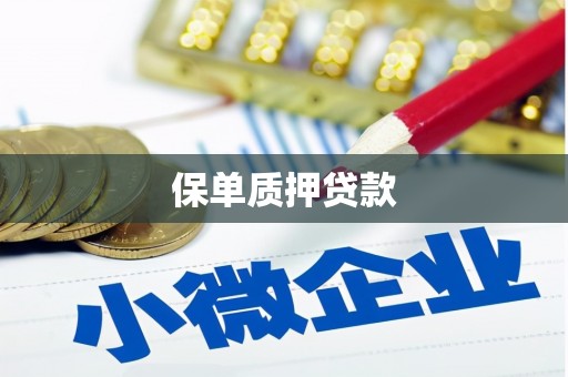 邗江保单质押贷款