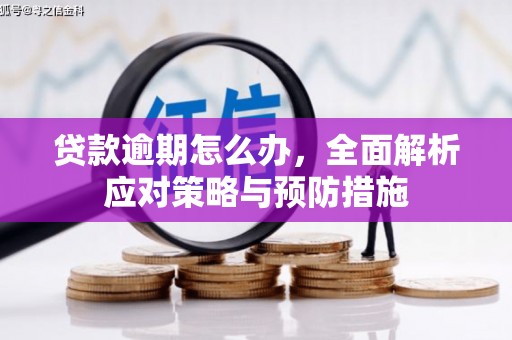 邗江贷款逾期怎么办，全面解析应对策略与预防措施