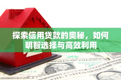 邗江探索信用贷款的奥秘，如何明智选择与高效利用
