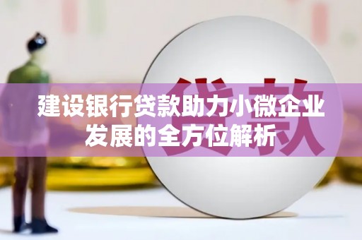 邗江建设银行贷款助力小微企业发展的全方位解析
