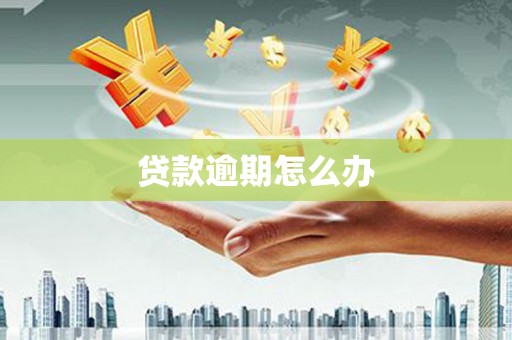邗江贷款逾期怎么办