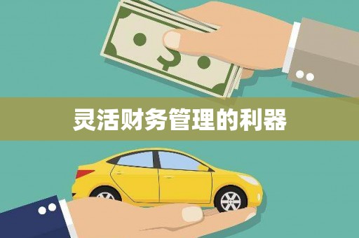 邗江灵活财务管理的利器