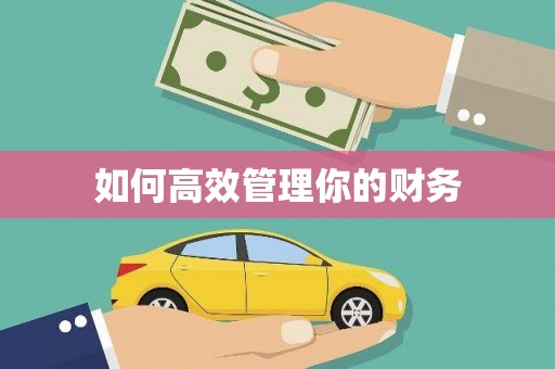邗江如何高效管理你的财务