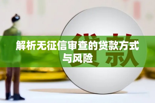 邗江解析无征信审查的贷款方式与风险